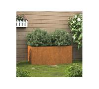 vidaXL Jardinière, Pot de Fleurs de Jardin, Bac à Plantes de Terrasse, Boîte de Plantation d'Extérieur pour Légumes Herbes, Acier Corten