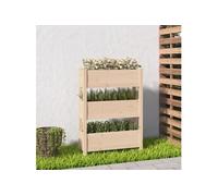 Jardinière 77x25x104,5 cm Bois massif de pin 823934