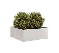Jardinière 80x80x30 cm acier inoxydable