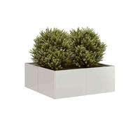 vidaXL Jardinière 80x80x30 cm Acier Inoxydable