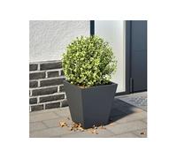 Jardinière anthracite 30x30x30 cm acier