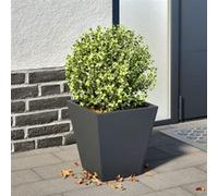 Jardinière anthracite 30x30x30 cm acier