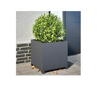 Jardinière anthracite 50x50x50 cm acier