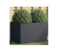 Vidaxl Jardinière Anthracite 62x47x46 Cm Acier Laminé À Froid