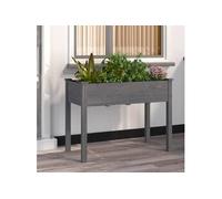 Jardinière avec doublure gris 118x59x76 cm bois massif de sapin 364235