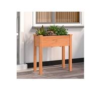 vidaXL Jardinière 364231 avec doublure marron 71x37x76 cm bois massif de sapin