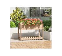 Jardinière avec Étagère Bac à Fleurs Salon Marron Bois Massif de Pin vidaXL