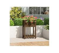 Vidaxl Jardinière Avec Étagère Marron Miel 54x34,5x81 Cm Bois De Pin