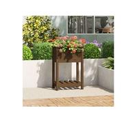 Jardinière avec étagère Marron miel 54x34,5x81 cm Bois de pin 823755