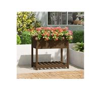 Jardinière avec Étagère Bac à Fleurs Salon Marron Bois Massif de Pin vidaXL