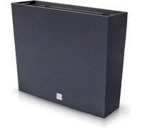 Jardinière avec insert Prosperplast Rato Case T DRC600T-S433 - couleur anthracite