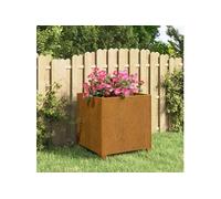 Jardinière avec pieds Rouillé 42x40x43 cm Acier corten