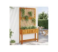 Jardinière avec treillis et étagère bois massif d acacia