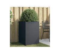 Vidaxl Jardinière Anthracite 52x48x75 Cm Acier Laminé À Froid