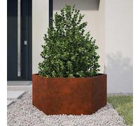 Jardinière Bac à Fleurs Pot de Plantes Jardin Rouillé Acier Corten vidaXL