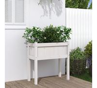 Jardinière Bac à Fleurs Pot de Plantes Lit Surélevé Jardin Patio Terrasse vidaXL