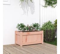 Vidaxl Jardinières 2 Pcs Bois Massif Douglas