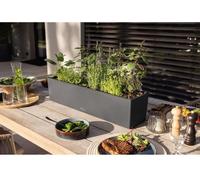 Jardiniere - Balconera color 80 - Kit complet - Gris ardoise - 12 L - LECHUZA