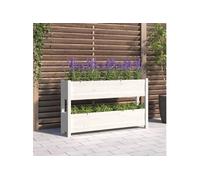 Jardinière Lit Surélevé Bac à Fleurs Jardin Marron Bois Massif de Pin vidaXL