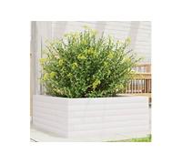 Vidaxl Jardinière Blanc 60x60x23 Cm Bois De Pin Massif