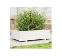 Jardinière blanc 90x60x26,5 cm bois de pin massif847344