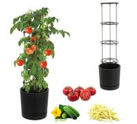 Jardinière - Botle - Ø 30 Cm - Anthracite - 14,5 Litres - Plantes Grimpantes Multicolore