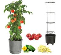 Jardinière - Botle - Ø30 Cm - Plastique De Haute Qualité - Gris Béton - Extensible Multicolore