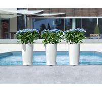 Jardiniere - Cilindro color 32 - Kit complet - Blanc - 13 L -LECHUZA