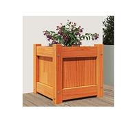 vidaXL Jardinière 837398 G – Bois de pin massif cire marron 31x31x31 cm
