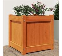 Jardinière cire marron 40x40x40 cm bois de pin massif Marron G