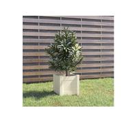 Jardinière d extérieur Blanc 31x31x31 cm Bois de pin massif Blanc G