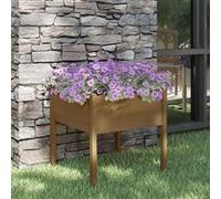 Jardinière d extérieur Marron miel 70x70x70 cm Pin massif Marron G