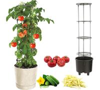 Jardinière de légumes à germer tomate concombre haricot Ø30 cm crème