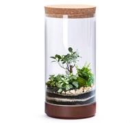 Jardinière de terrarium cylindrique en verre transparent avec base en bois et couvercle en liège | Décoration de table polyvalente pour la maison, le bureau ou la culture hydroponique (plante non