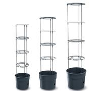 Jardinière de tomates Prosperplast Jardinière de tomates en plastique anthracite 39,2 (longueur) x 39,2 (largeur) x 31,5-153 (hauteur) cm