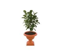 Jardinière Décorative Sur Pied - Botle - Ø 47 Cm H 52,5 Cm - Plastique Durable - Terracotta - Rond Multicolore