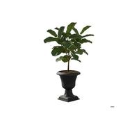 Jardinière Décorative Sur Pied - Botle - Graphite - Ø39 Cm - H 62 Cm - Plastique Résistant Multicolore