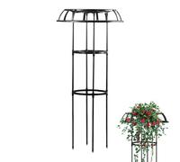 Jardinière d'extérieur - Arche de - Travail de fer - Cadre d'escalade pour clématites - Cage de support pour hautes - Tour de jardin autonome pour grimper des fleurs - Structure