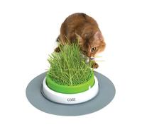Jardinière d'herbe Catit Vert 13x24x24,5 cm