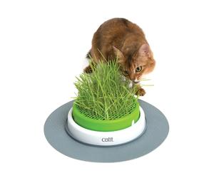 Jardinière d'herbe Catit Vert 13x24x24,5 cm