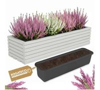 Jardinière en bois - BOGATECO - 64x20x14,5 cm - Beige clair - Insert plastique - Rectangulaire