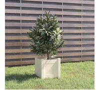 Jardinière en bois de pin - vidaXL - 31x31x31 cm - Blanc - Drain intégré - Robuste - Assemblage requis