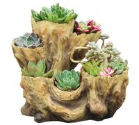 Jardinière en Bois flotté, planteur Rustique en résine irrégulière, Pots Succulents de souche de Bois d'imitation créative pour Herbe, Fleur, Fraise, Petites Plantes, Rouge, Pot