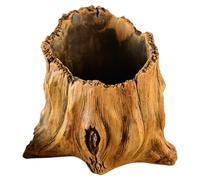 Jardinière en ciment vintage avec texture de racine d'arbre artificiel pour plantes succulentes, présentoir de jardin pour intérieur et extérieur
