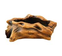 Jardinière en ciment vintage avec texture de racine d'arbre artificiel pour plantes succulentes, présentoir de jardin pour intérieur et extérieur