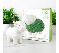 Jardinière en forme de vache des Highland Chia - Joli ornement de bureau en forme d'animal, mini kit de jardin pour cultiver votre petite plante pour enfants et adultes