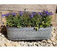 Jardinière en zinc galvanisé pour fleurs | Lot de 3 pots de jardin