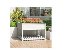 Jardinière et étagère Blanc 111,5x111,5x81cm Bois massif de pin Blanc G