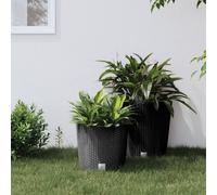 Jardinière et Intérieur Amovible Pot de Fleurs Bac à Plante Rotin PP vidaXL