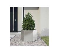 vidaXL Jardinière Hexagone 69×60×45 cm Acier inoxydable
